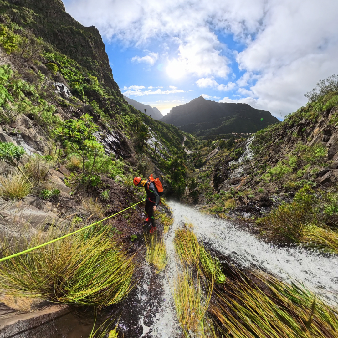 projekt bez nazwy 5.png